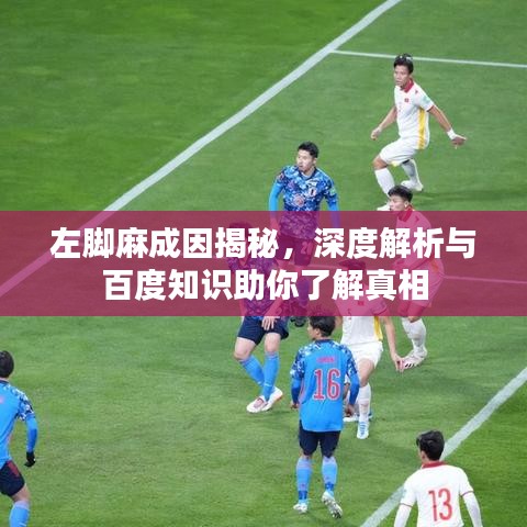 左脚麻成因揭秘，深度解析与百度知识助你了解真相