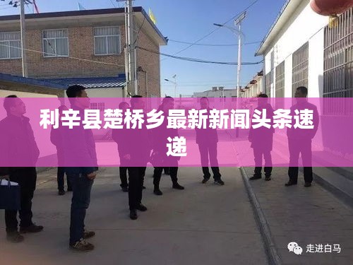 利辛县楚桥乡最新新闻头条速递