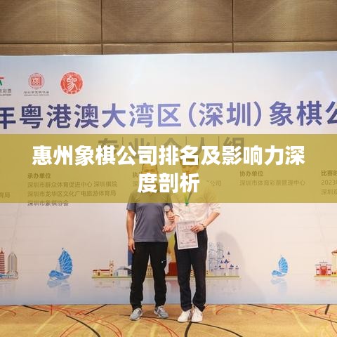 惠州象棋公司排名及影响力深度剖析