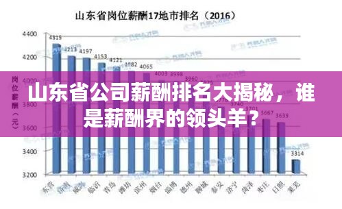 山东省公司薪酬排名大揭秘，谁是薪酬界的领头羊？