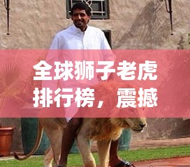 全球狮子老虎排行榜，震撼榜单不容错过！