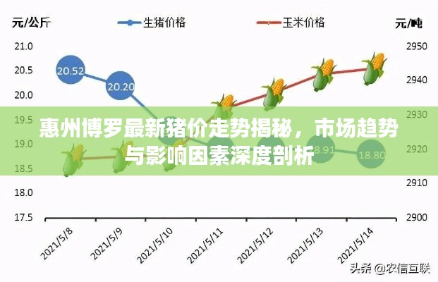 文质彬彬