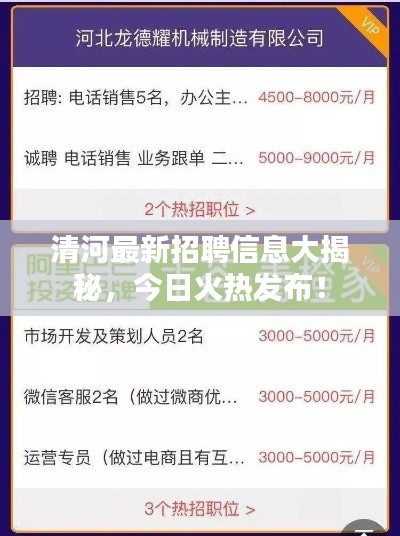 清河最新招聘信息大揭秘，今日火热发布！