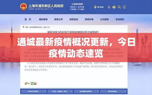 十年磨剑