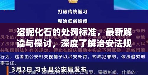 盗掘化石的处罚标准，最新解读与探讨，深度了解治安法规