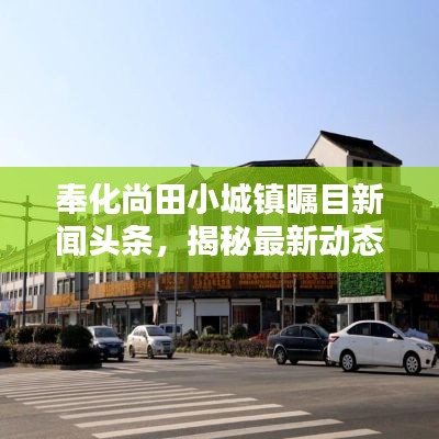 奉化尚田小城镇瞩目新闻头条，揭秘最新动态！