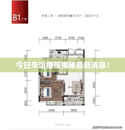 今日辛运播报揭秘最新消息！