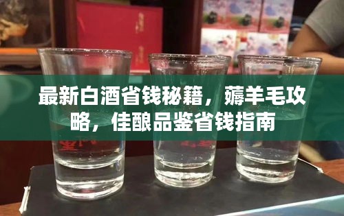最新白酒省钱秘籍，薅羊毛攻略，佳酿品鉴省钱指南