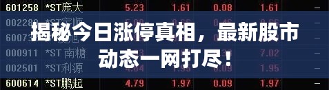 揭秘今日涨停真相，最新股市动态一网打尽！
