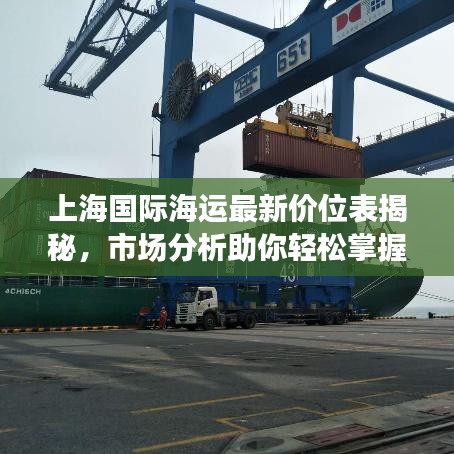 上海国际海运最新价位表揭秘，市场分析助你轻松掌握航运成本！