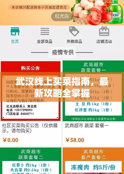 武汉线上买菜指南，最新攻略全掌握