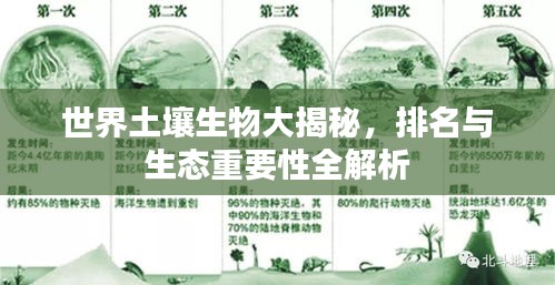 世界土壤生物大揭秘，排名与生态重要性全解析