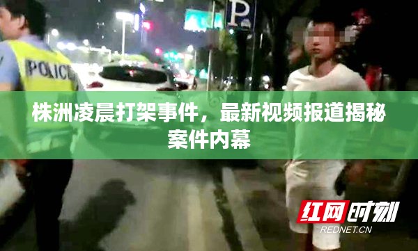 株洲凌晨打架事件，最新视频报道揭秘案件内幕