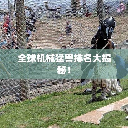 料事如神