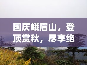 笼中之鸟