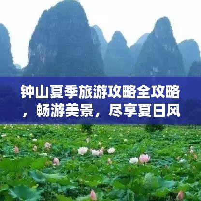 钟山夏季旅游攻略全攻略，畅游美景，尽享夏日风情！