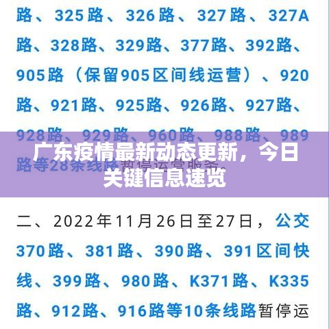 广东疫情最新动态更新，今日关键信息速览