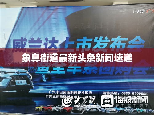 象鼻街道最新头条新闻速递
