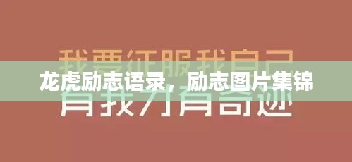 龙虎励志语录，励志图片集锦