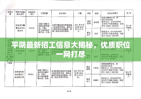 平阴最新招工信息大揭秘，优质职位一网打尽