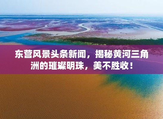 东营风景头条新闻，揭秘黄河三角洲的璀璨明珠，美不胜收！