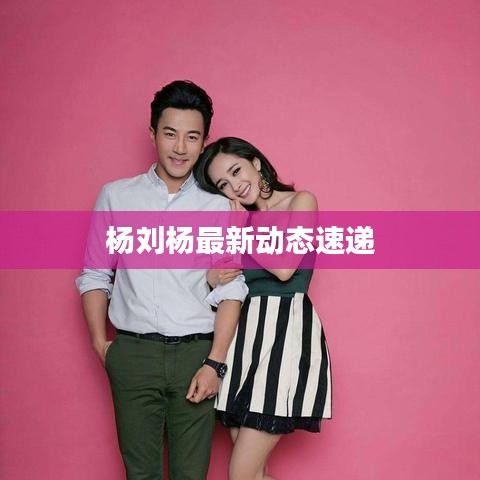 杨刘杨最新动态速递