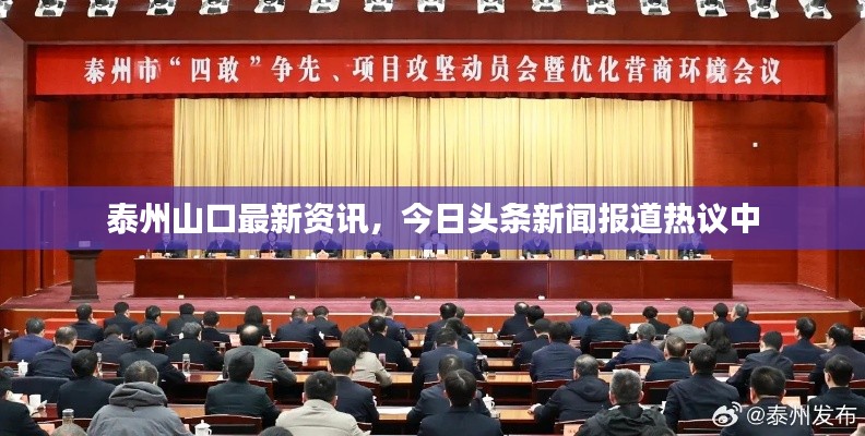 夯雀儿先飞