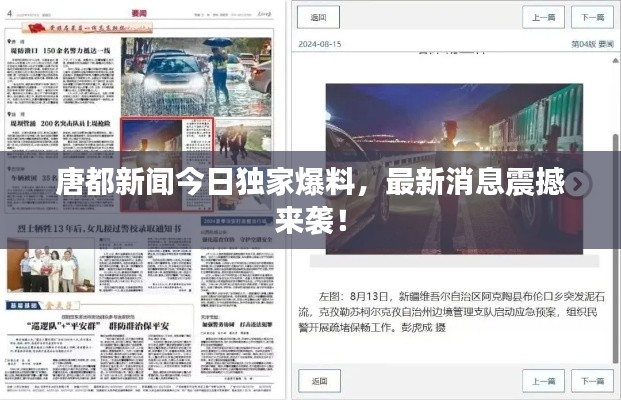 唐都新闻今日独家爆料，最新消息震撼来袭！