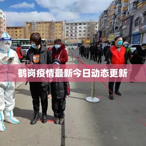鹤岗疫情最新今日动态更新