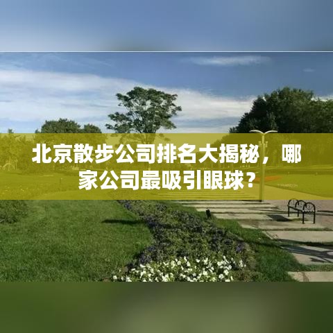 北京散步公司排名大揭秘，哪家公司最吸引眼球？