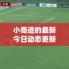 小奇迹的最新今日动态更新