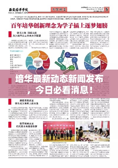 培华最新动态新闻发布，今日必看消息！