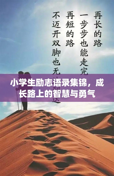 小学生励志语录集锦，成长路上的智慧与勇气