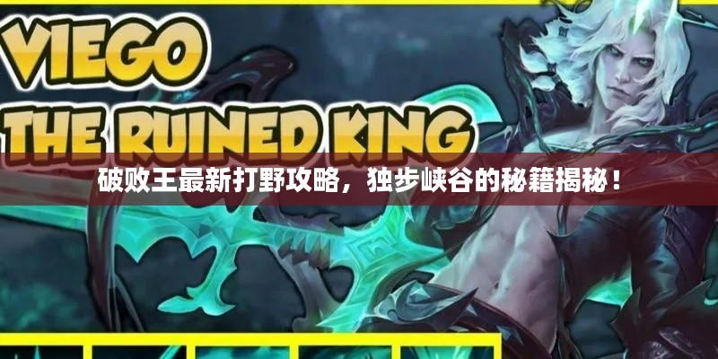 破败王最新打野攻略，独步峡谷的秘籍揭秘！