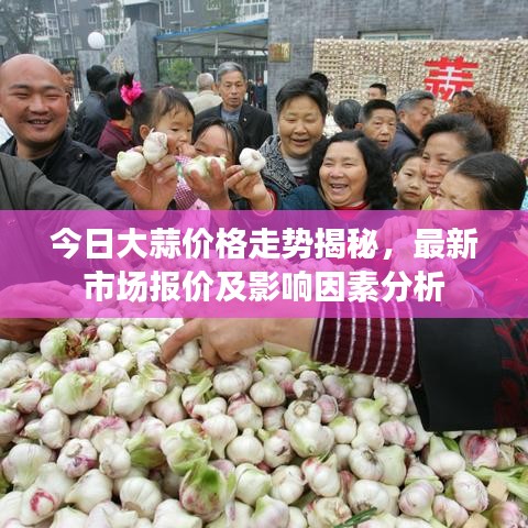 今日大蒜价格走势揭秘，最新市场报价及影响因素分析