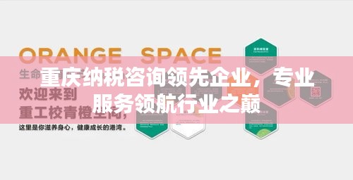 重庆纳税咨询领先企业，专业服务领航行业之巅
