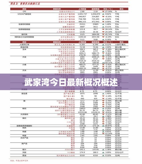 武家湾今日最新概况概述