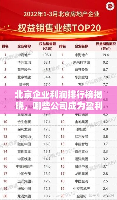 北京企业利润排行榜揭晓，哪些公司成为盈利巨头？