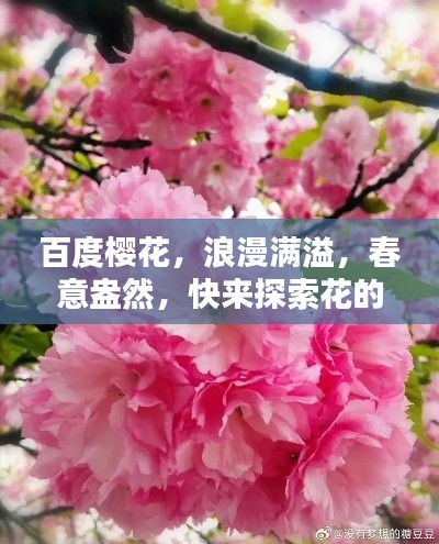 百度樱花，浪漫满溢，春意盎然，快来探索花的海洋！
