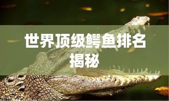 世界顶级鳄鱼排名揭秘