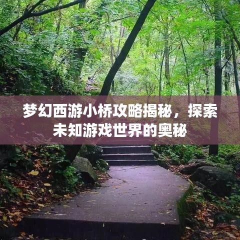 梦幻西游小桥攻略揭秘，探索未知游戏世界的奥秘