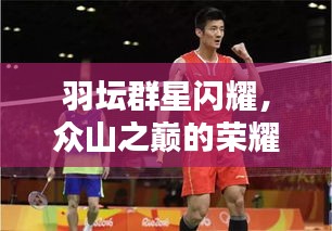 羽坛群星闪耀，众山之巅的荣耀时刻历年排名回顾