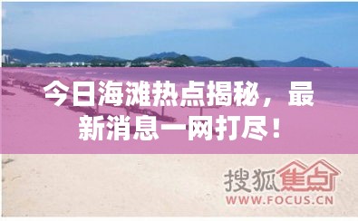 今日海滩热点揭秘，最新消息一网打尽！