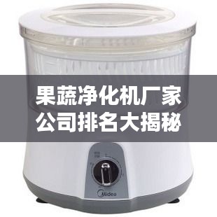 果蔬净化机厂家公司排名大揭秘，权威榜单，选购无忧！