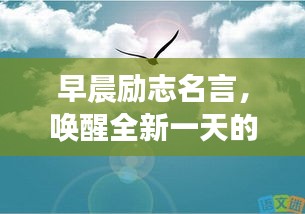 风韵犹存