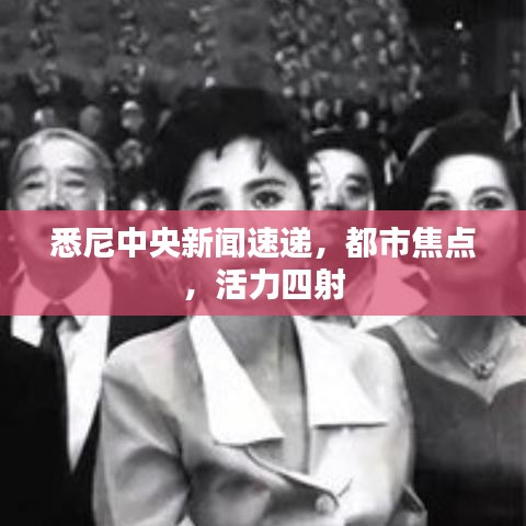 悉尼中央新闻速递，都市焦点，活力四射