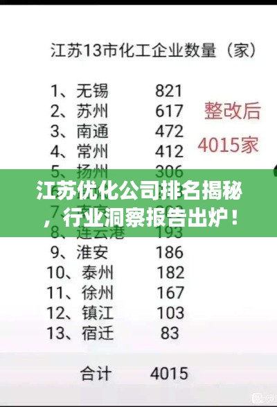 江苏优化公司排名揭秘，行业洞察报告出炉！