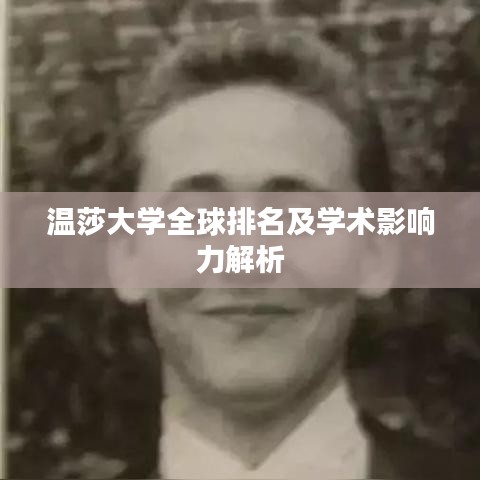 温莎大学全球排名及学术影响力解析