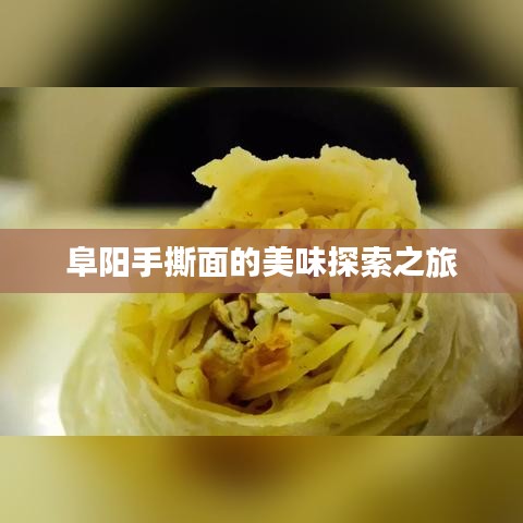 阜阳手撕面的美味探索之旅