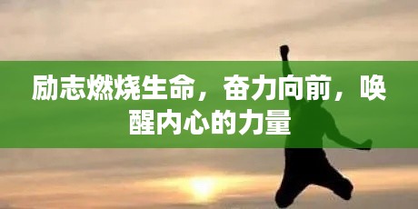 技术研发 第22页